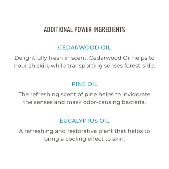 JĀSÖN® Men's ALL-IN-ONE Forest Fresh Body Wash 32oz - Picture 7 of 11